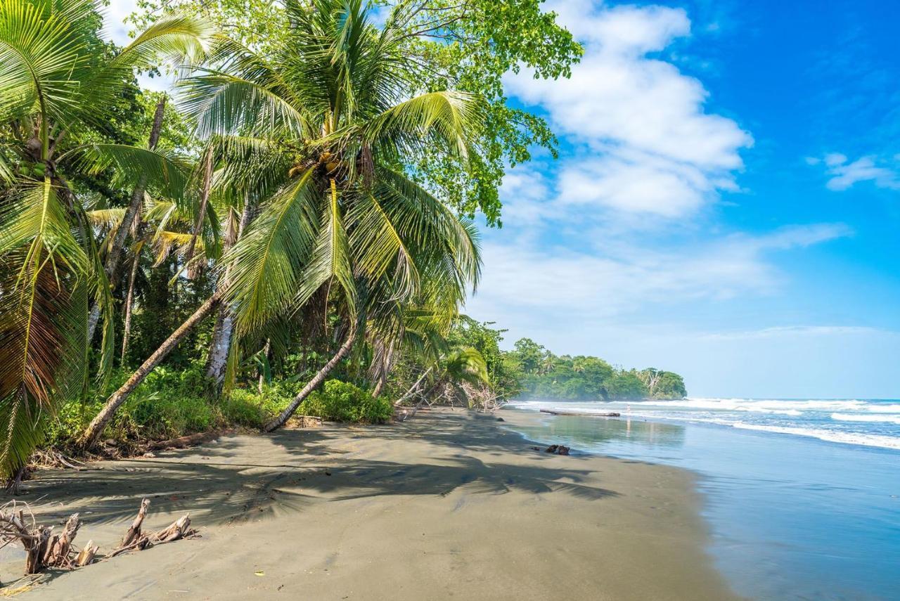 Casa Verde Puerto Viejo de Talamanca Экстерьер фото